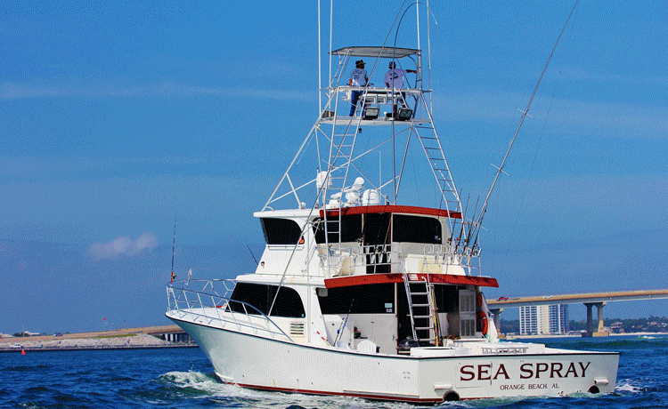 Sea Spray Fishing Charters